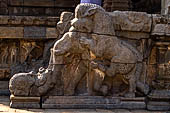 The great Chola temples of Tamil Nadu - The Airavatesvara temple of Darasuram. Detail of the N-W balustrade of the he prakara-wall (lion pouncing on an elephant). 